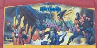 Panel Batman & Robin 